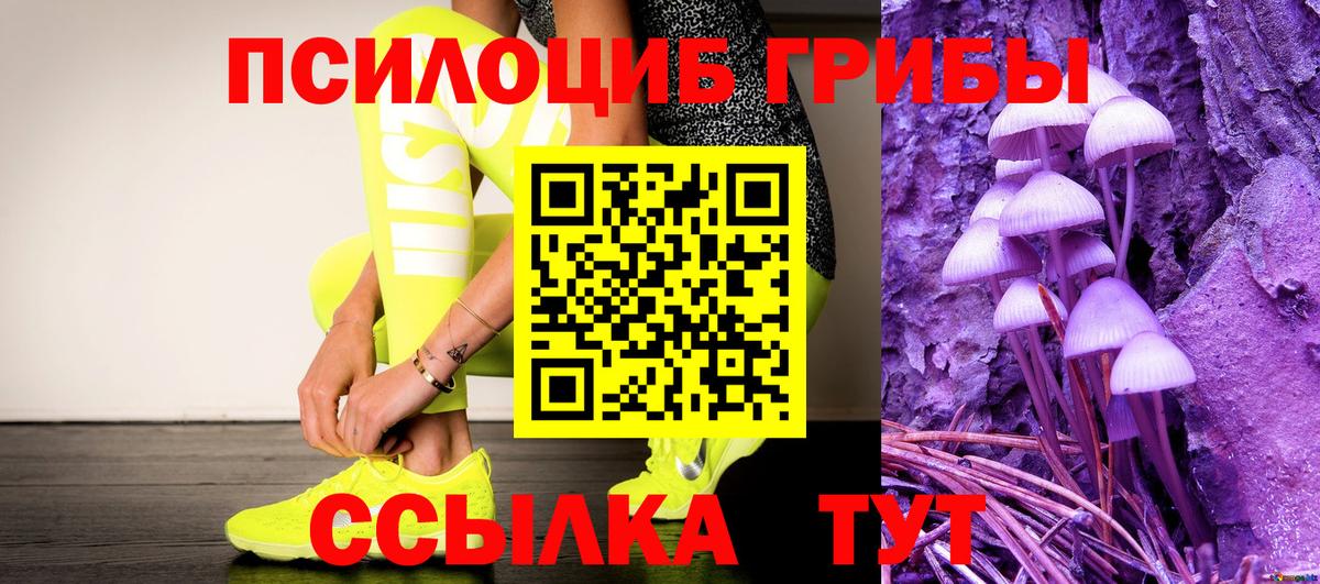 Псилоцибиновые грибы Psilocybe  Вход с VPN  Печора 